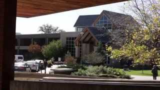 Visit Luther