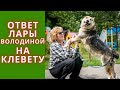 О ЛЮБВИ К СОБАКАМ И БИЗНЕСЕ НА БЕЗДОМНЫХ