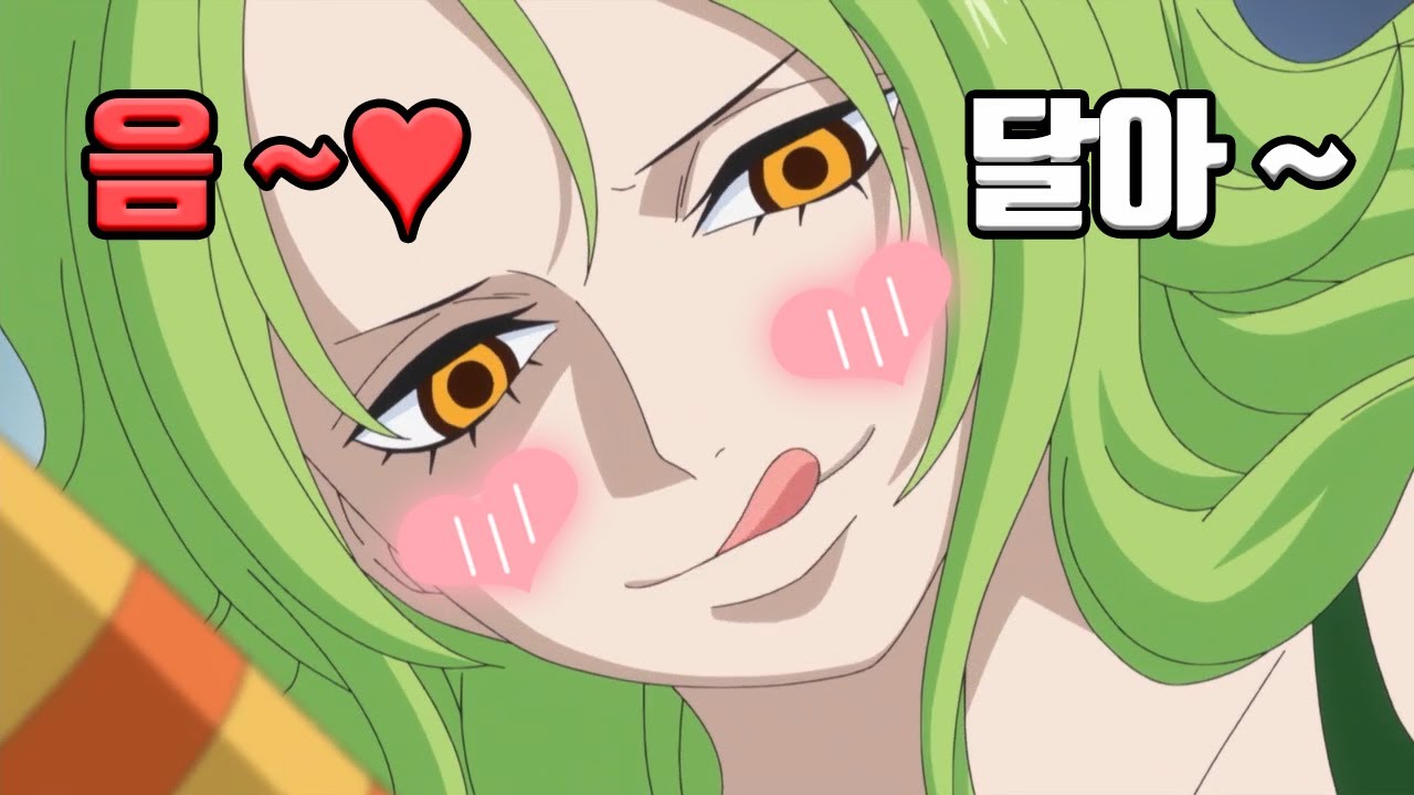 원피스 정보 도플라밍고의 충신 모네(모네 편) .