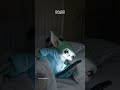 لقيت ابني بيستخدم حبوب منع الحمل مميز للضحك تحشيش ميمز تحشيش مصر طريقة النوم الباكر تحشيش لقيت ابني بيستخدم حبوب منع الحمل مميز للضحك تحشيش ميمز تحشيش مصر طريقة النوم الباكر تحشيش
