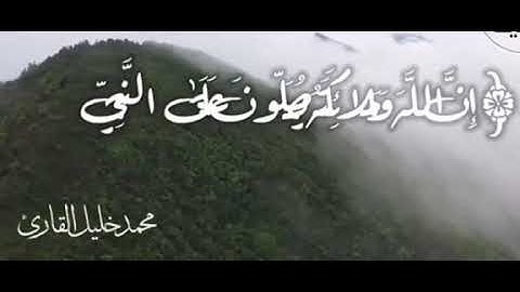 الشيخ  : محمد خليل القارئ