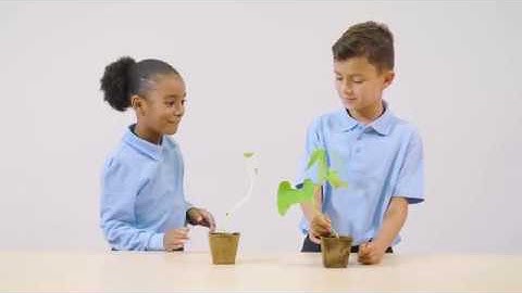 Cambridge Primary Science Digital Classroom Stage 1 – plants
