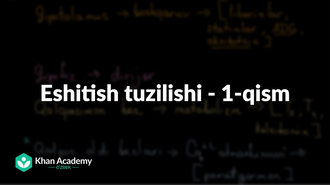 Eshitish tuzilishi - 1-qism | Tibbiyot