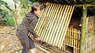 Húng Thị Bình _Today I went to cut bamboo to make a chicken coop and clean up around it by Húng Thị Bình  7,210 views 1 month ago 24 minutes