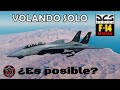 DCS F-14 TOMCAT ¿Volarlo solo es posible? (Dumb Bombs con Jester)