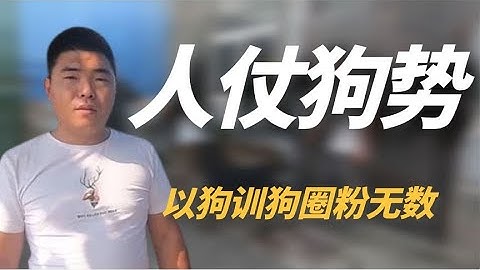 人仗狗势真的存在，恶霸犬被一掌拍傻，黑豹一狗可碾压整个狗场