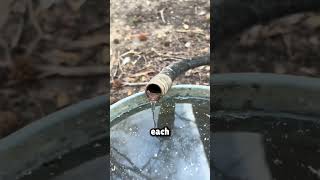 Water Looks Frozen But It’s Moving! 😳💧