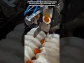 Versatile Industrial Machine Making Perfect Laddoos And Various Items