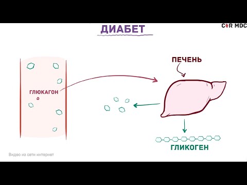 14 ноября – Всемирный день борьбы с сахарным диабетом