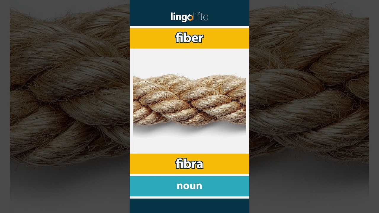 🇬🇧🇵🇹 fiber - fibra : learn English : vamos aprender inglês : vocabulary builder