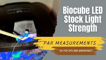 BioCube 32 LED Stock Lights PAR Measurements - Strong Enough for SPS Corals?
