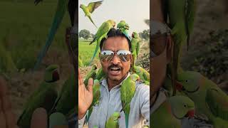 इतने तोता हमारे अभी यहांहै🙏#mobiletips#youtubetips#hinditech#viralshorts#shorts#jeetublog#techshorts