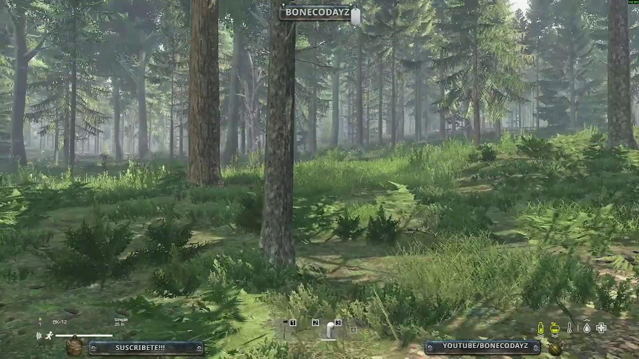 Transmisión en vivo de BonecoDayz