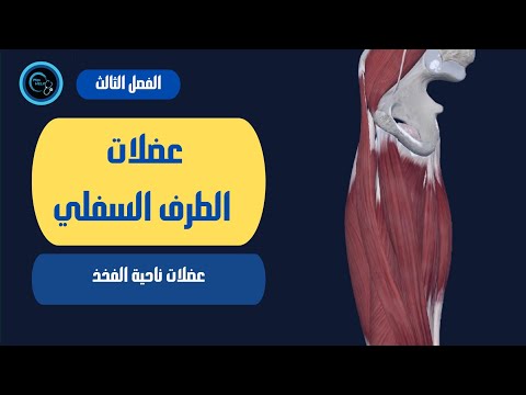 فيديو: هل الفخذ المتسع؟