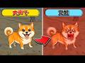 SNSで大流行してる『犬になって大声を出したら』勝ちのゲーム。【ワンワンバトル】
