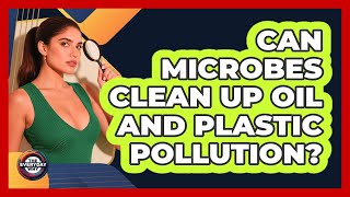 Can Microbes Clean Up Oil And Plastic Pollution - The Everyday Why