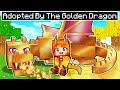 Adopted by the GOLDEN DRAGON in Minecraft!