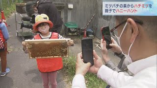 甘いミツバチの蜜たっぷり　岡崎市の動物園で親子でハチミツづくり体験