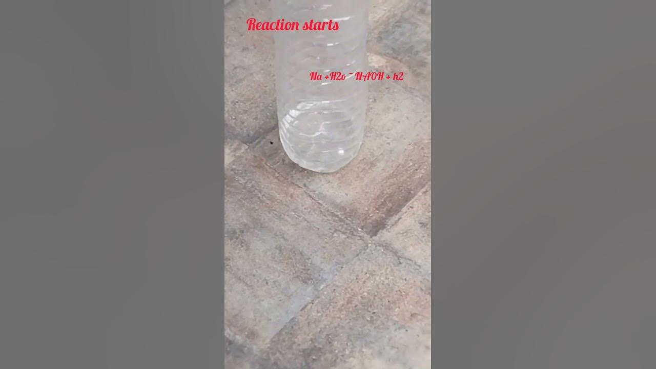 practical // chemistry // reaction of sodium with water - YouTube
