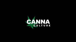 Tolerance Breaks are a must! (For heavy smokers)