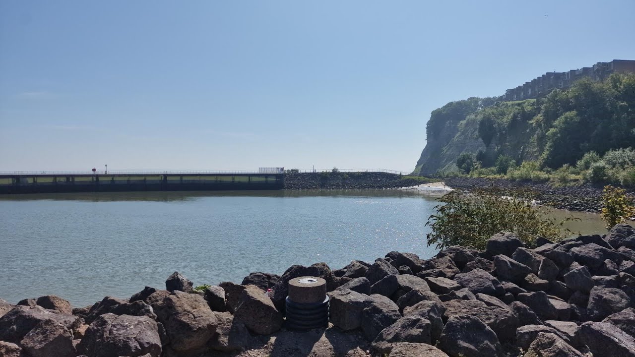 Fossil hunting in wales Penarth   DJ Fossils