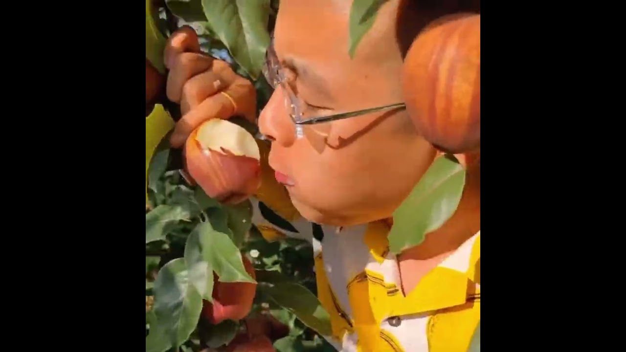 It&rsquo;s not apples right?#fruit #yummy #freshfruits #organic #farming #lovefarm