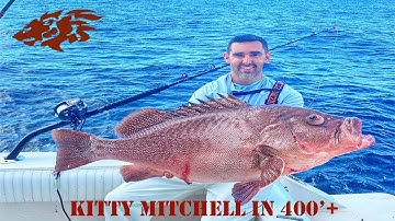HUGE Kitty Mitchell, Gag Grouper, and Red Snapper - Deep Dropping Gulf of Mexico