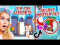 NEW *SECRET* LOCATION In NEW WINTER CASTLE In Adopt Me! (Roblox)