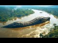 Top 10 Disturbing Discoveries Made In The Amazon Rainforest