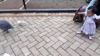 Alhamdulillah Nayya Lagi Jalan-Jalan Ke Caping Park Baturaden