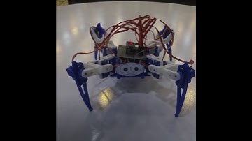 Spider Robot | Educational Kits | The Social lounge