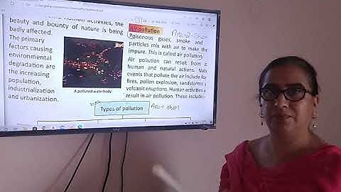 Class 5 SST Environmental Pollution Part 1