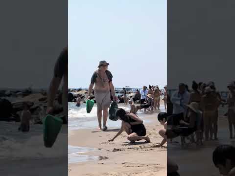 Shorts Videos Nature Beach Ocean View Funny Videos Funny Short Oceanside Nowy Jork Travel Paradise