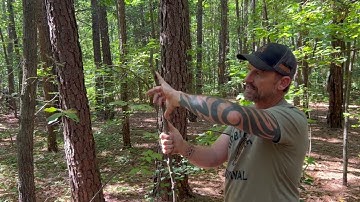 How to Build a Paiute Deadfall Trap | Primitive Survival & Bushcraft Skills