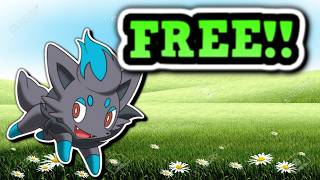 NEW FREE Zorua Shiny Hunt Spot In PokeMMO screenshot 3