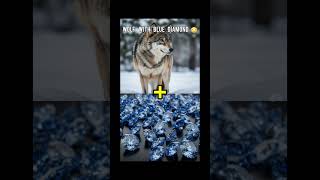 Diamond Combine Animals