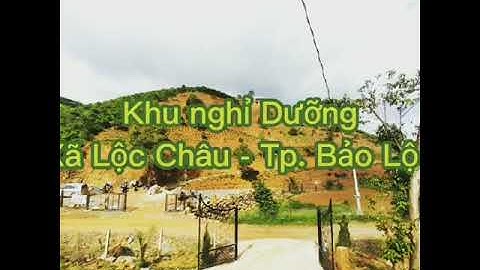 Mua bán đất vườn Bảo Lộc