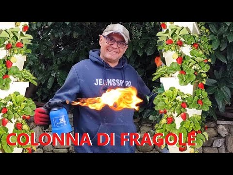COLONNA Verticale di