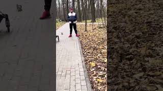 Чудесные белочки в лесу 🐿️! Едят прям из рук )