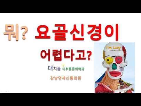 요골신경 해부학 및 마비에 대해서 설명하였습니다