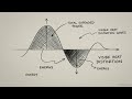 Anatomy of an Acoustic Hit  Decoding the 32 Byte Fingerprint