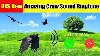 Amazing Crow Sound Ringtone