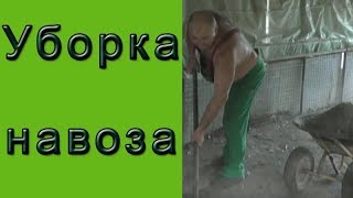 Уборка навоза или ловит ли кот мышей? Уборка навоза или ловит ли кот мышей?