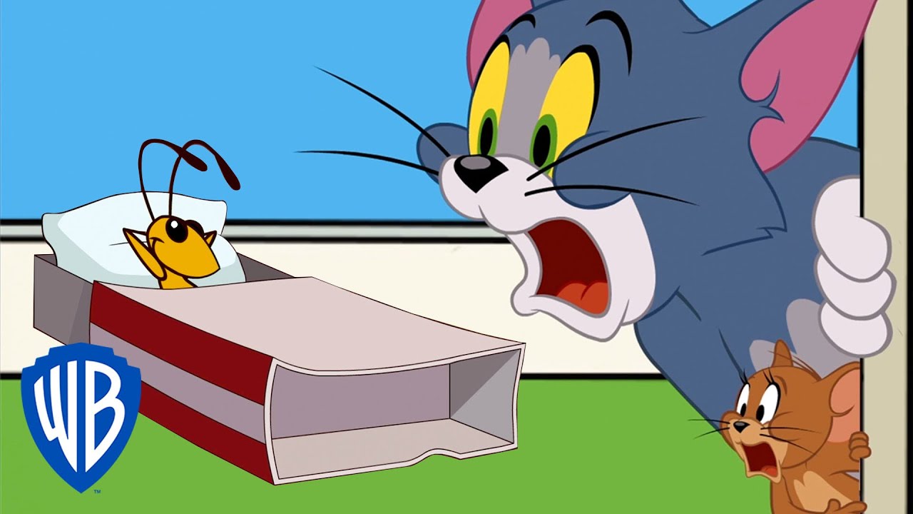 Tom & Jerry | The Cricket Problem | WB Kids