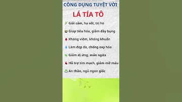 Công Dụng Tuyệt Vời Của Lá Tía Tô Cho Sức Khỏe