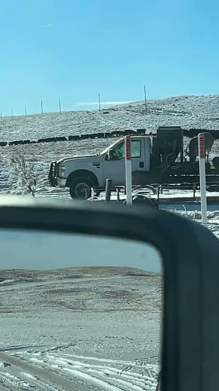 Mule Deer Rarely Enjoy Truck Beds || ViralHog