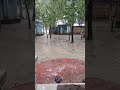 Morning rain, সকালের বৃষ্টি। #enjoy