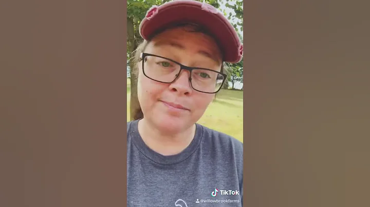 Donkey Intelligence and Memory