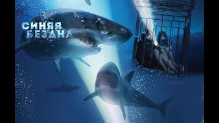 VLOG: Синяя бездна, акулы, читай город! VLOG: Синяя бездна, акулы, читай город!
