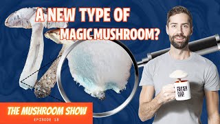 A Totally Weird "Magic Mushroom" That No One Seems To Know Anything About... Is It Real? (TMS EP 18)